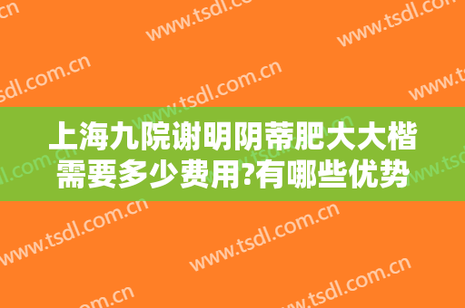 上海九院谢明阴蒂肥大大楷需要多少费用?有哪些优势?