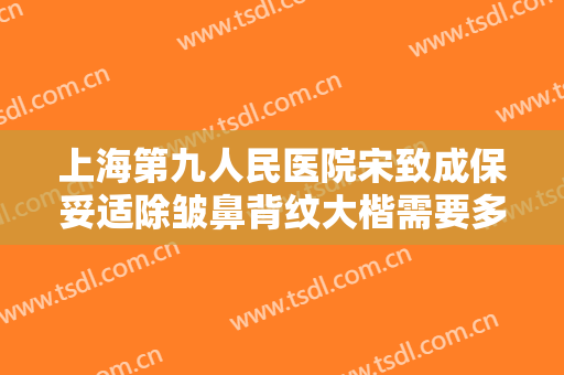 上海第九人民医院宋致成保妥适除皱鼻背纹大楷需要多少钱?好不好?