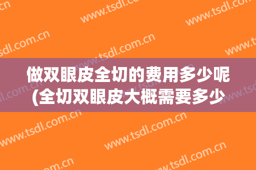 做双眼皮全切的费用多少呢(全切双眼皮大概需要多少费用)