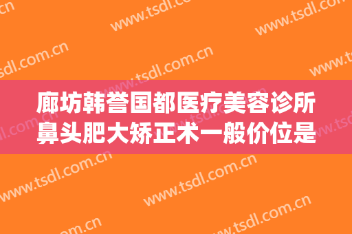 廊坊韩誉国都医疗美容诊所鼻头肥大矫正术一般价位是多少?可靠吗?(中专士兵考军校)