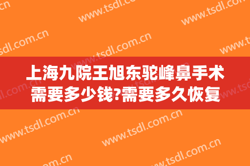 上海九院王旭东驼峰鼻手术需要多少钱?需要多久恢复?(上海九院谢峰医生吸脂)