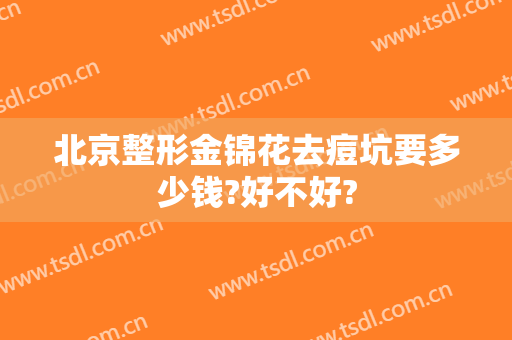 北京整形金锦花去痘坑要多少钱?好不好?