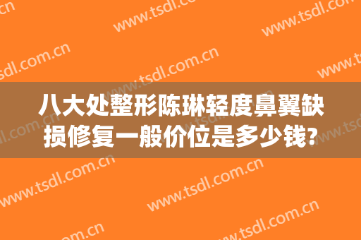 八大处整形陈琳轻度鼻翼缺损修复一般价位是多少钱?有哪些优势?(鼻整形手术修复率)