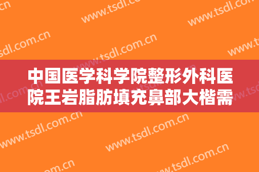 中国医学科学院整形外科医院王岩脂肪填充鼻部大楷需要多少钱?需要多久恢复?