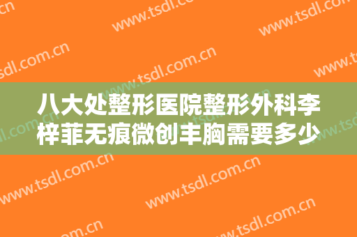 八大处整形医院整形外科李梓菲无痕微创丰胸需要多少钱?效果怎么样?