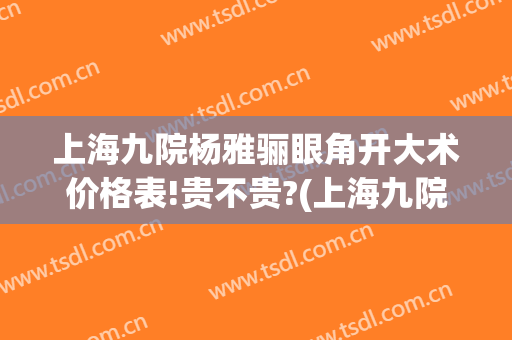 上海九院杨雅骊眼角开大术价格表!贵不贵?(上海九院开眼角费用)