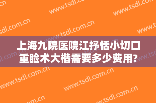 上海九院医院江抒恬小切口重睑术大楷需要多少费用?贵不贵?