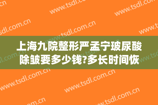 上海九院整形严孟宁玻尿酸除皱要多少钱?多长时间恢复?(上海整形医院九院整形价位)
