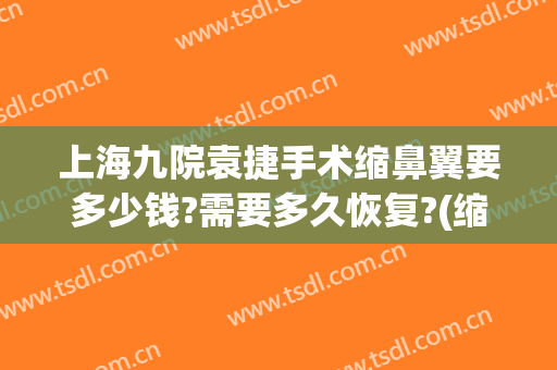 上海九院袁捷手术缩鼻翼要多少钱?需要多久恢复?(缩鼻翼手术大概多久恢复)