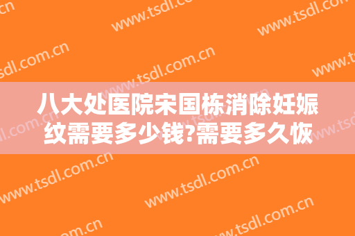 八大处医院宋国栋消除妊娠纹需要多少钱?需要多久恢复?
