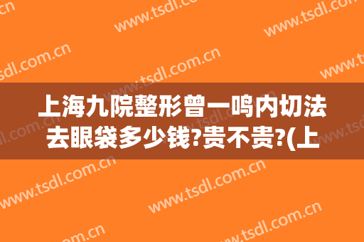 上海九院整形曾一鸣内切法去眼袋多少钱?贵不贵?(上海九院割眼袋)