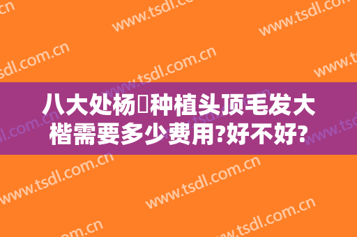 八大处杨喆种植头顶毛发大楷需要多少费用?好不好?