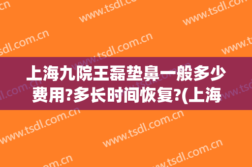 上海九院王磊垫鼻一般多少费用?多长时间恢复?(上海九院垫鼻子多少钱)