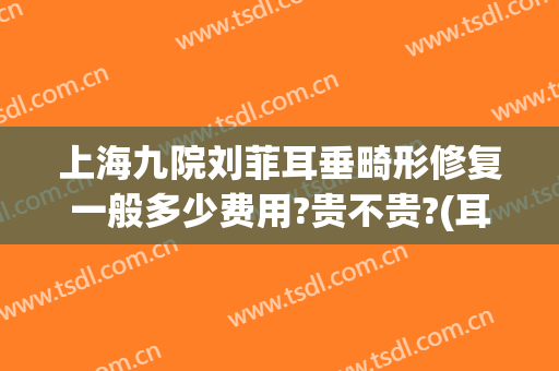 上海九院刘菲耳垂畸形修复一般多少费用?贵不贵?(耳朵整形修复医院)