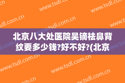 北京八大处医院吴镝祛鼻背纹要多少钱?好不好?(北京八大处做鼻子多少钱)
