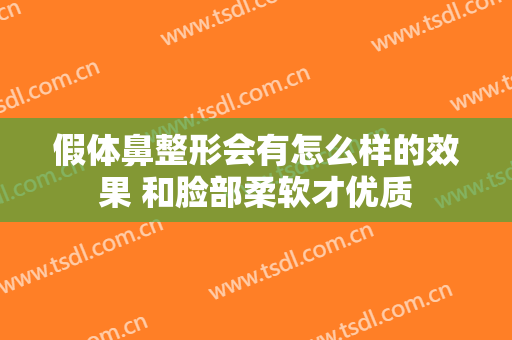 假体鼻整形会有怎么样的效果 和脸部柔软才优质