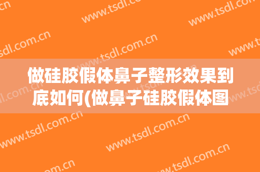 做硅胶假体鼻子整形效果到底如何(做鼻子硅胶假体图片)