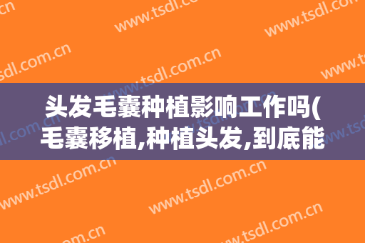 头发毛囊种植影响工作吗(毛囊移植,种植头发,到底能不能行)