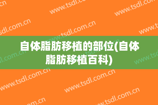 自体脂肪移植的部位(自体脂肪移植百科)