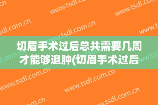 切眉手术过后总共需要几周才能够退肿(切眉手术过后总共需要几周才能够退肿掉)
