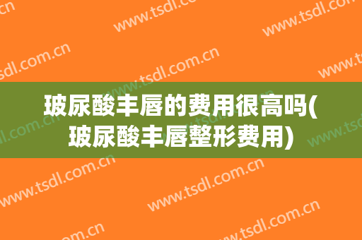 玻尿酸丰唇的费用很高吗(玻尿酸丰唇整形费用)