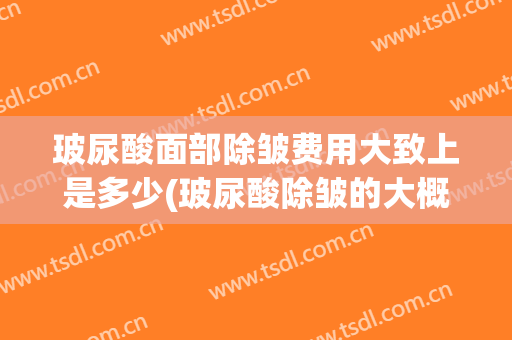 玻尿酸面部除皱费用大致上是多少(玻尿酸除皱的大概费用)