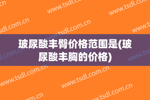 玻尿酸丰臀价格范围是(玻尿酸丰胸的价格)