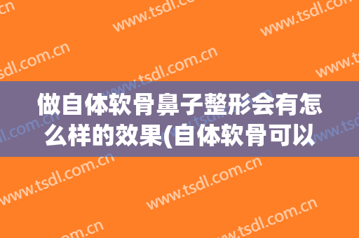 做自体软骨鼻子整形会有怎么样的效果(自体软骨可以做鼻梁吗)