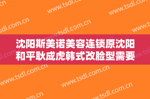 沈阳斯美诺美容连锁原沈阳和平耿成虎韩式改脸型需要多少钱?怎么样?