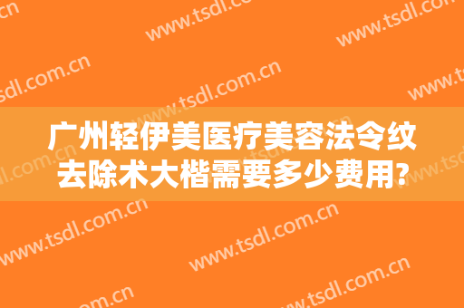广州轻伊美医疗美容法令纹去除术大楷需要多少费用?效果怎么样?