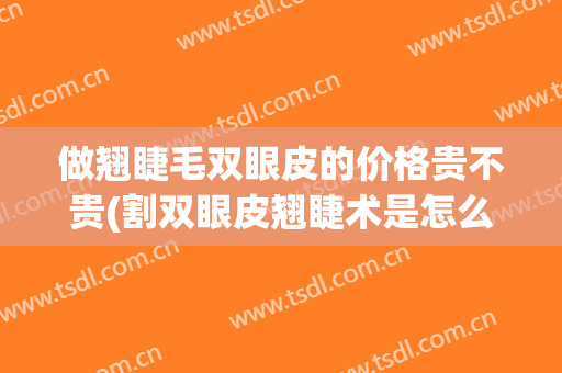 做翘睫毛双眼皮的价格贵不贵(割双眼皮翘睫术是怎么样的)