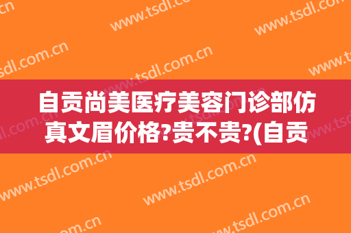 自贡尚美医疗美容门诊部仿真文眉价格?贵不贵?(自贡医疗美容医院)