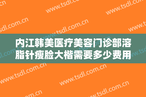 内江韩美医疗美容门诊部溶脂针瘦脸大楷需要多少费用?怎么样?