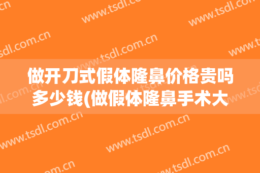 做开刀式假体隆鼻价格贵吗多少钱(做假体隆鼻手术大概价格多少)