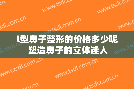 l型鼻子整形的价格多少呢 塑造鼻子的立体迷人