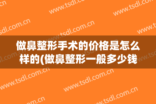 做鼻整形手术的价格是怎么样的(做鼻整形一般多少钱)