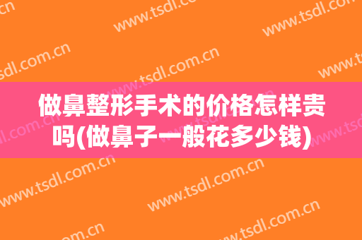 做鼻整形手术的价格怎样贵吗(做鼻子一般花多少钱)