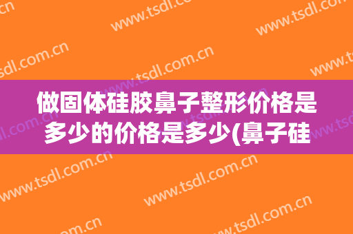 做固体硅胶鼻子整形价格是多少的价格是多少(鼻子硅胶假体多少钱)