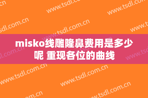 misko线雕隆鼻费用是多少呢 重现各位的曲线