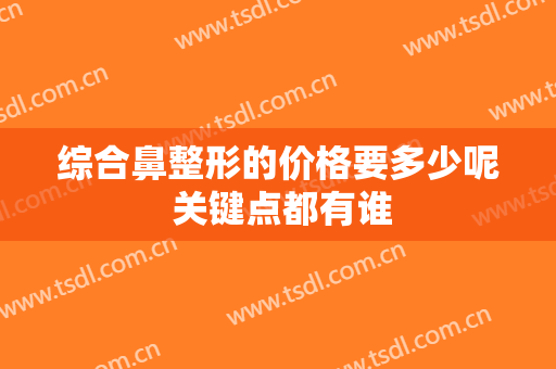 综合鼻整形的价格要多少呢 关键点都有谁