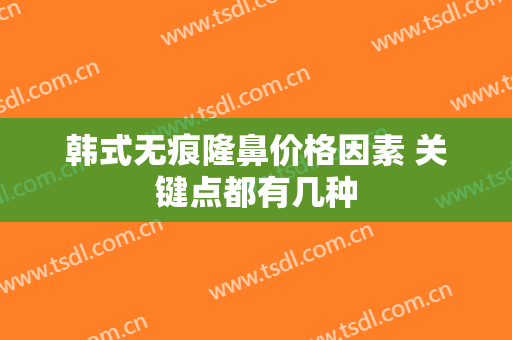 韩式无痕隆鼻价格因素 关键点都有几种