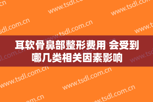 耳软骨鼻部整形费用 会受到哪几类相关因素影响