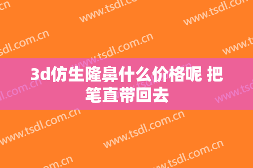3d仿生隆鼻什么价格呢 把笔直带回去