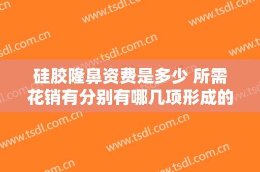 硅胶隆鼻资费是多少 所需花销有分别有哪几项形成的