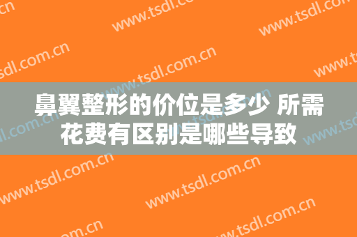 鼻翼整形的价位是多少 所需花费有区别是哪些导致