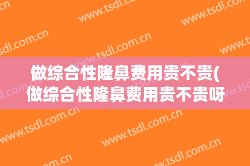 做综合性隆鼻费用贵不贵(做综合性隆鼻费用贵不贵呀)