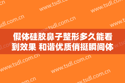假体硅胶鼻子整形多久能看到效果 和谐优质俏挺瞬间体现