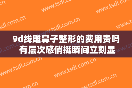 9d线雕鼻子整形的费用贵吗 有层次感俏挺瞬间立刻显现