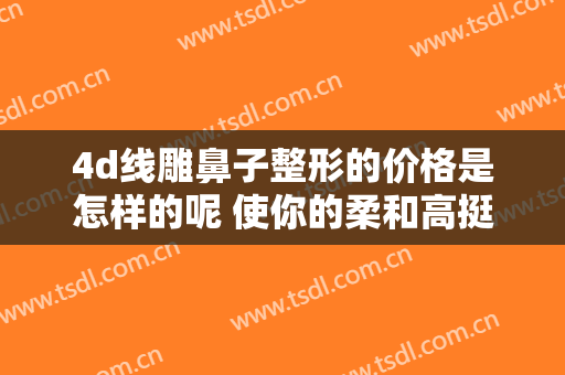 4d线雕鼻子整形的价格是怎样的呢 使你的柔和高挺自然