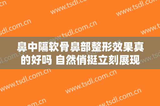 鼻中隔软骨鼻部整形效果真的好吗 自然俏挺立刻展现